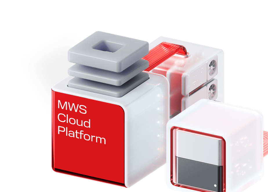 MWS Cloud Platform